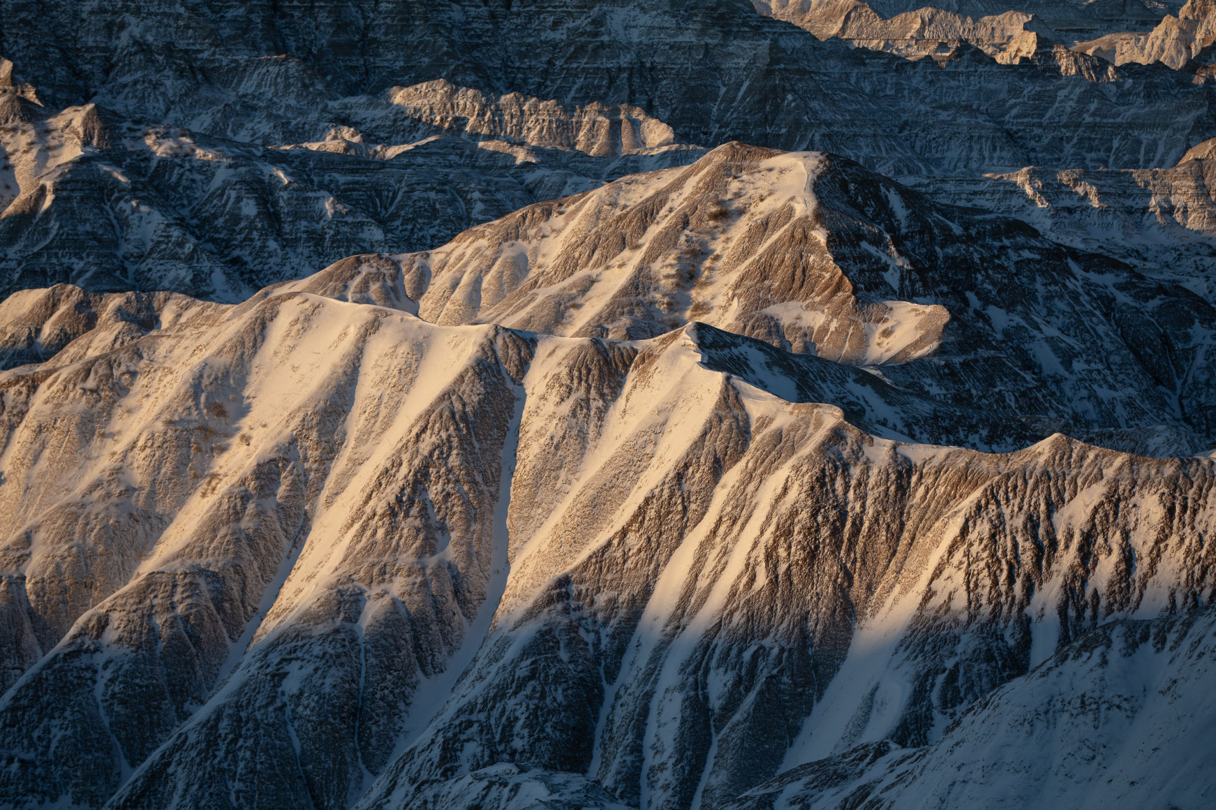 Photos of the week (copy)